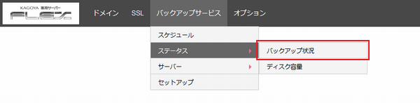 バックアップ状況