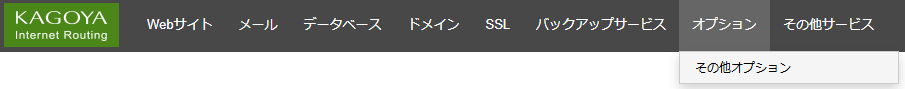 オプション